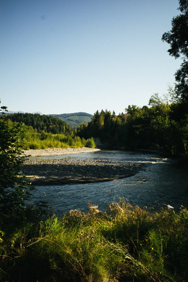 A serene river landscape with lush greenery and a backdrop of hills under a clear sky