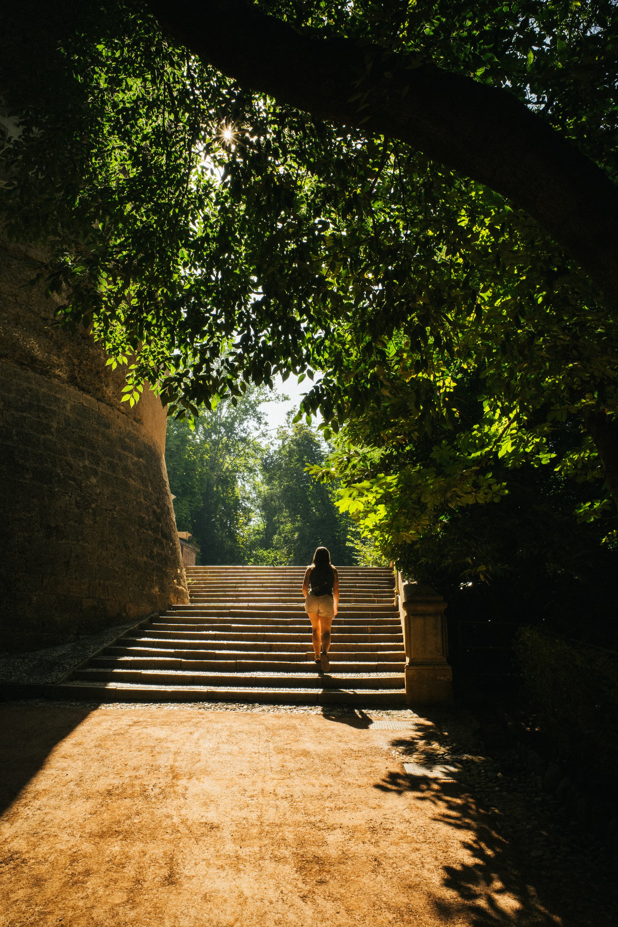 A person stands at the base of a sunlit staircase flanked by trees and walls, casting a long shadow on the ground