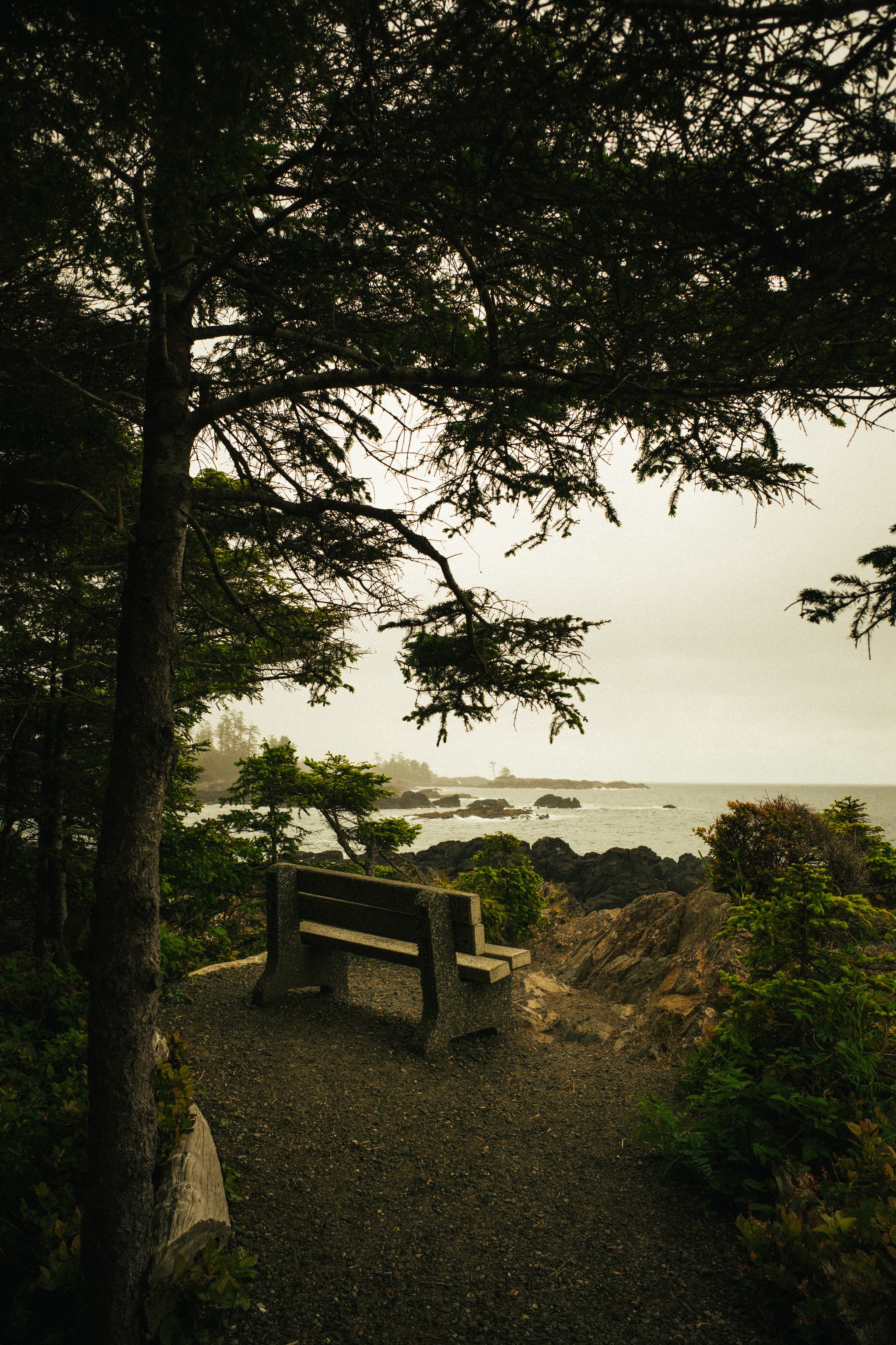 A serene coastal scene with a bench overlooking the ocean, framed by trees and rocks under an overcast sky