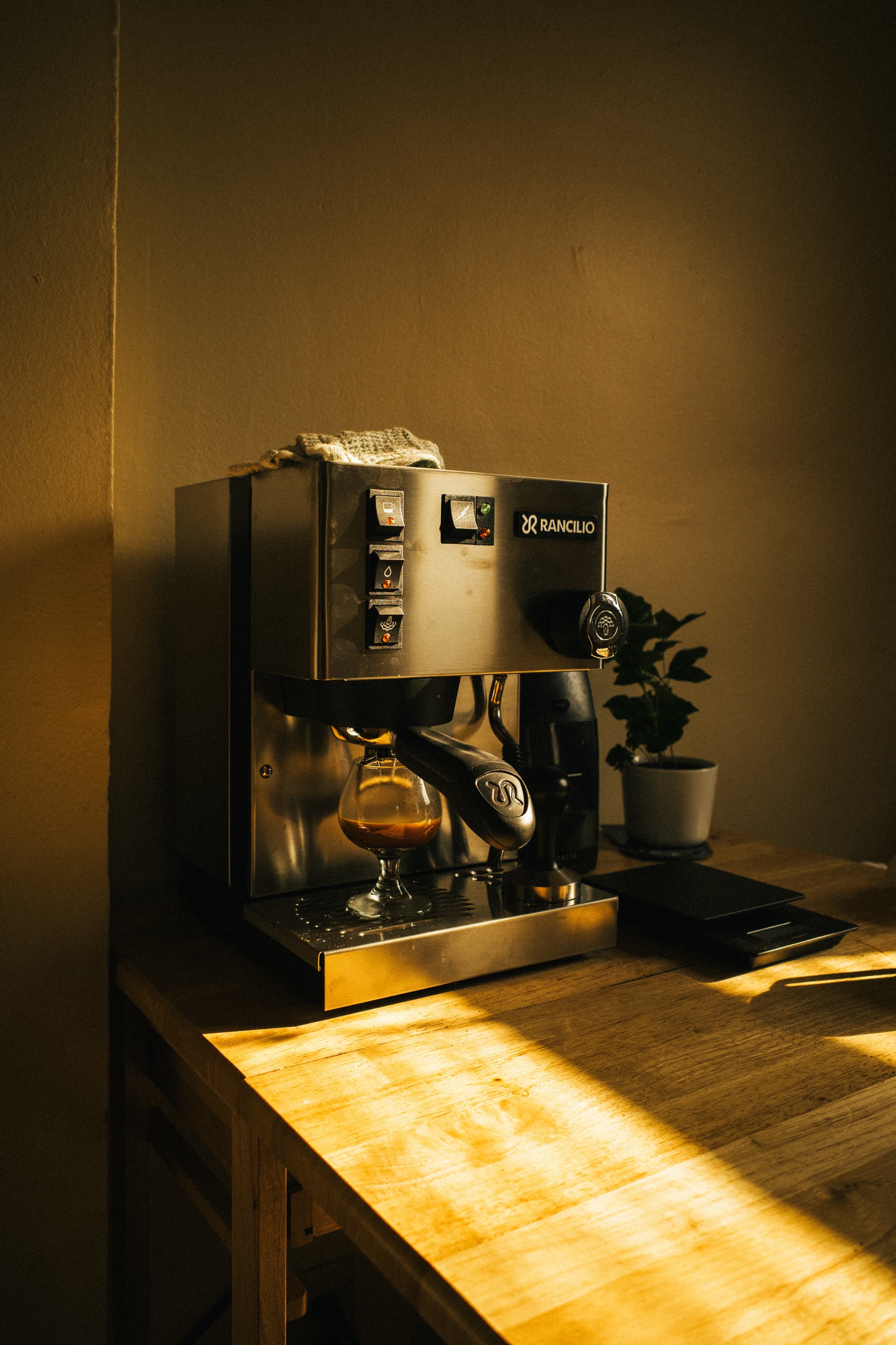 An espresso machine sits on a wooden table, bathed in warm sunlight with a small plant beside it