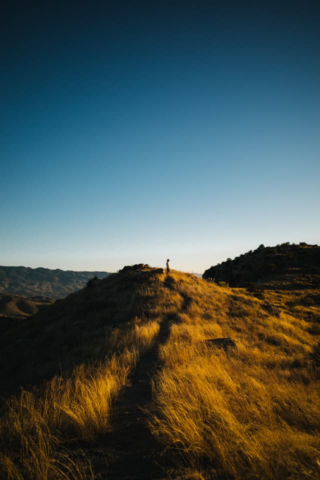 Mt Lemmon