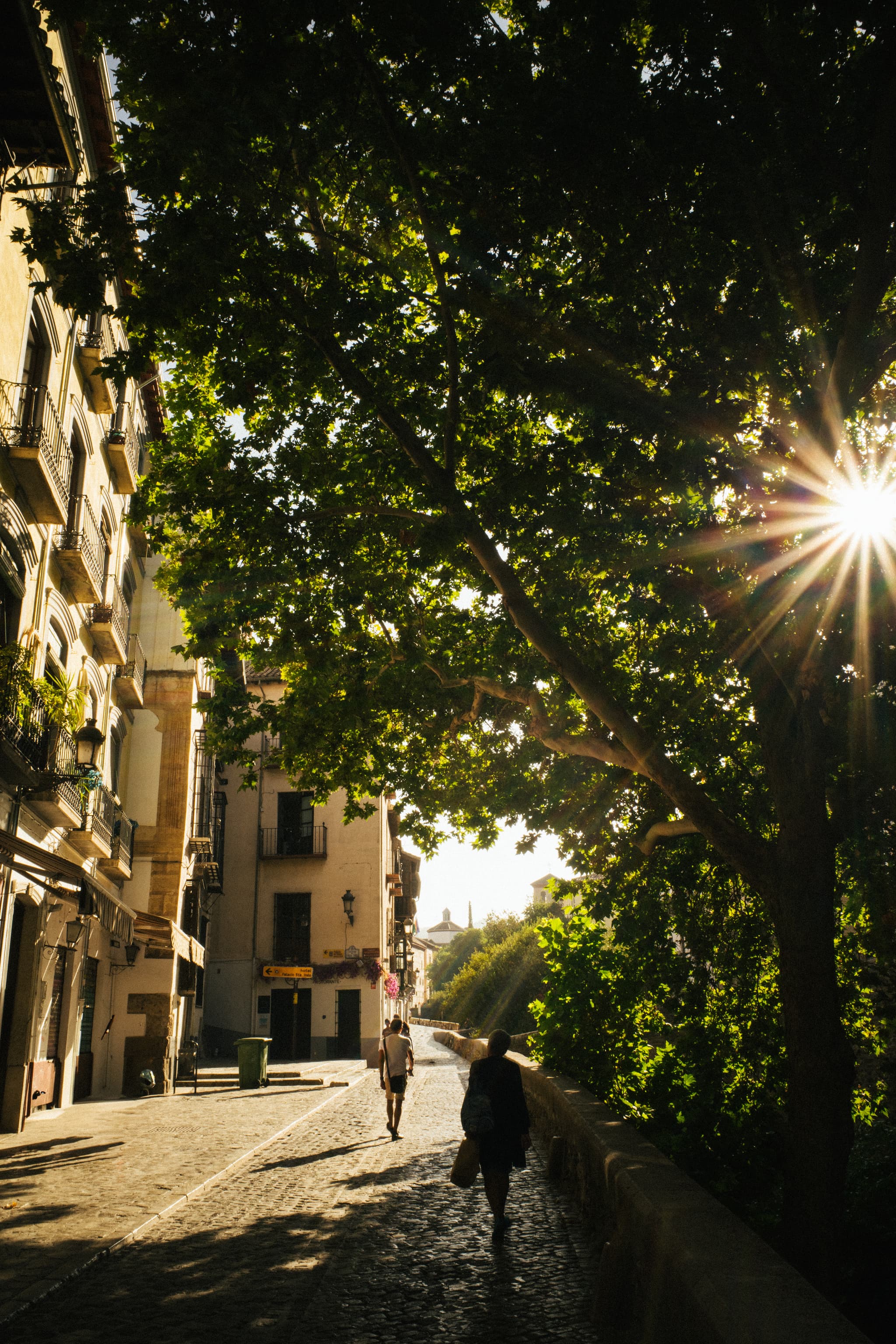 Sunlight filters through the leaves of a tree, casting a starburst pattern, as it illuminates a cobblestone street lined with buildings A person walks away from the viewpoint, their shadow stretching long on the ground