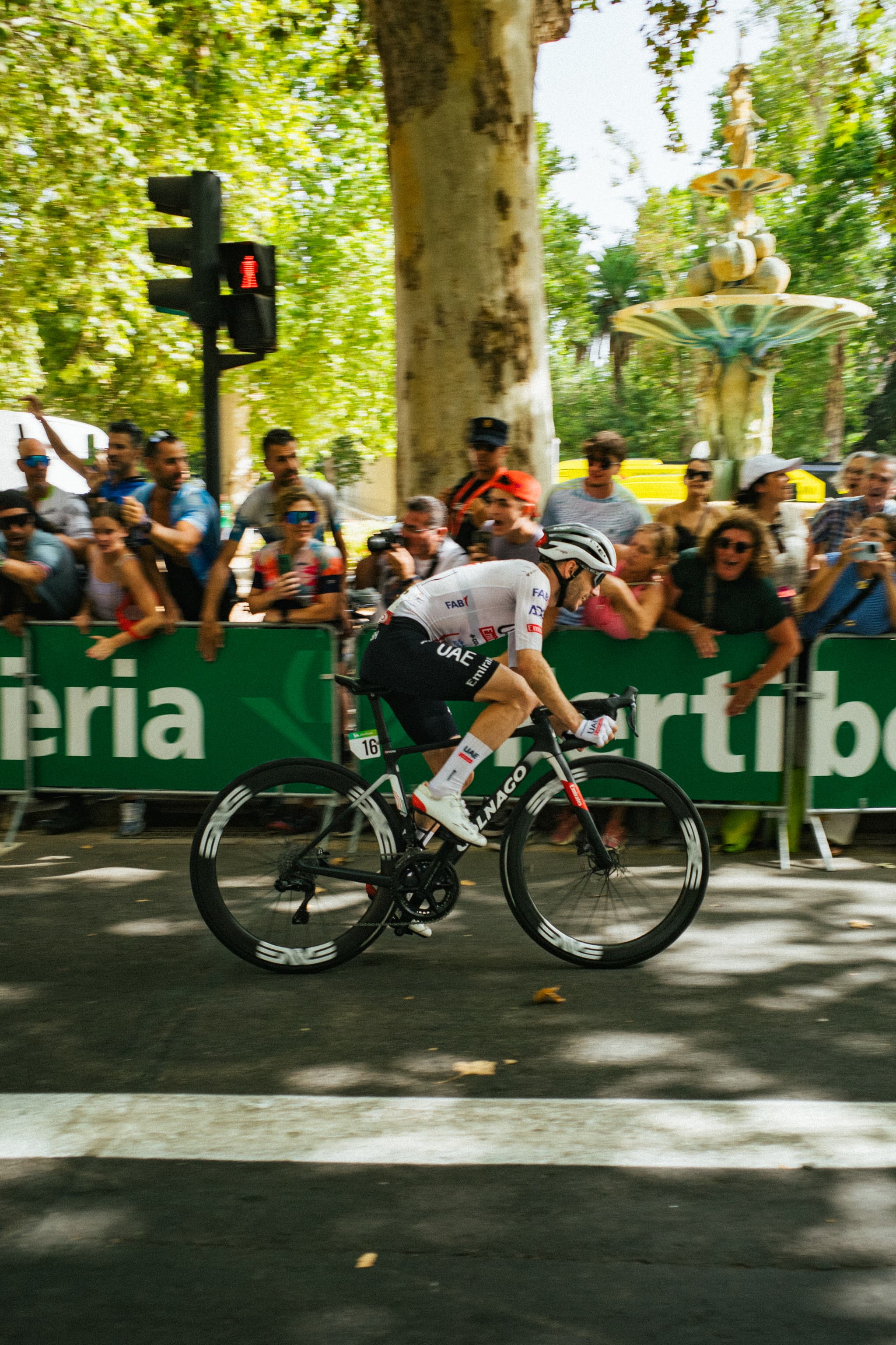 A cyclist clad in white and black is in mid-race, pedaling on a road bike, with a crowd of spectators lining the street behind a green barrier under the shade of trees