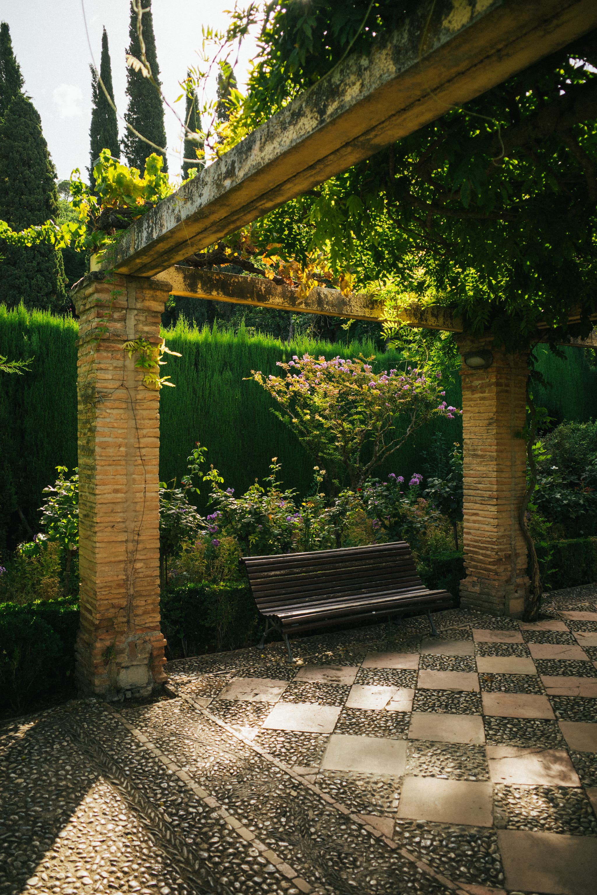 A serene garden setting with a wooden bench under a vine-covered pergola, checkered pathway, and lush greenery bathed in dappled sunlight