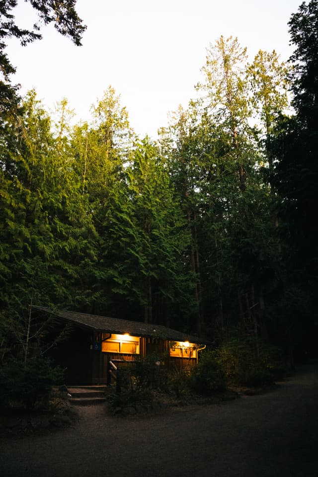 A small cabin with lit windows nestled among tall trees in a forested area during dusk