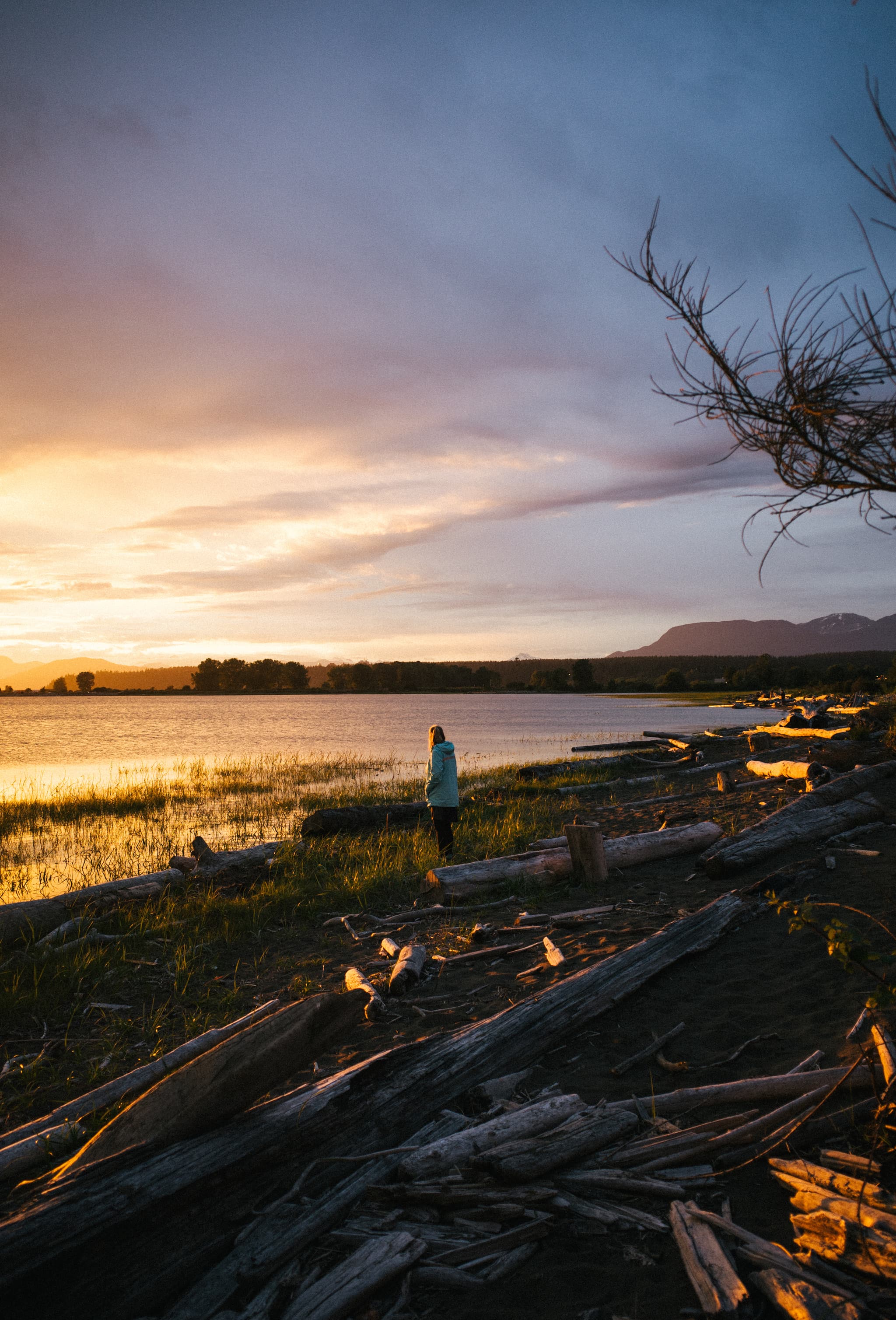 A person stands by a lakeside at sunset, surrounded by driftwood, with clouds streaked across the sky