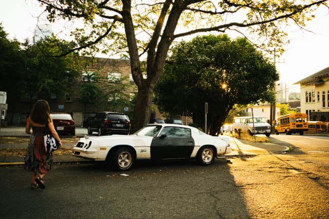 A person walks down a sunlit street lined with parked cars, including a prominent white sports car with a number 84 on the door, under the shade of a large tree