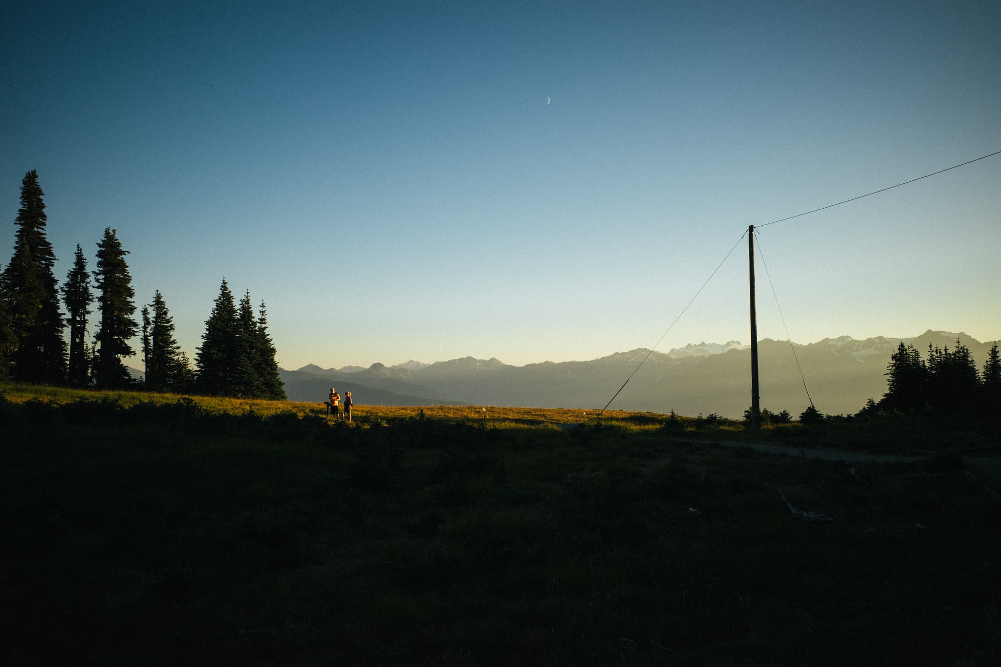 A serene landscape at dusk with silhouetted trees against a fading sky, a utility pole in the foreground, and distant mountains under a light sky