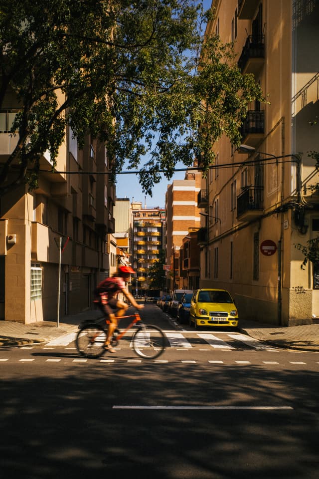 A cyclist rides down a sunlit street lined with apartment buildings, with cars parked along the curb and trees casting shadows on the road