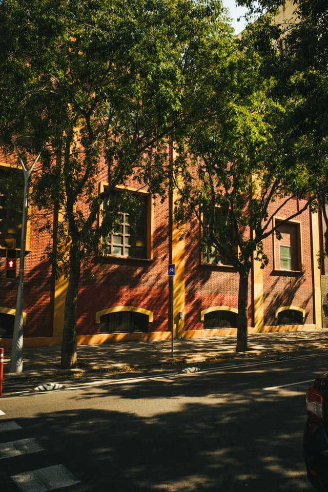 A sunlit street with shadows cast by trees on a red brick building, creating a contrast of light and shade