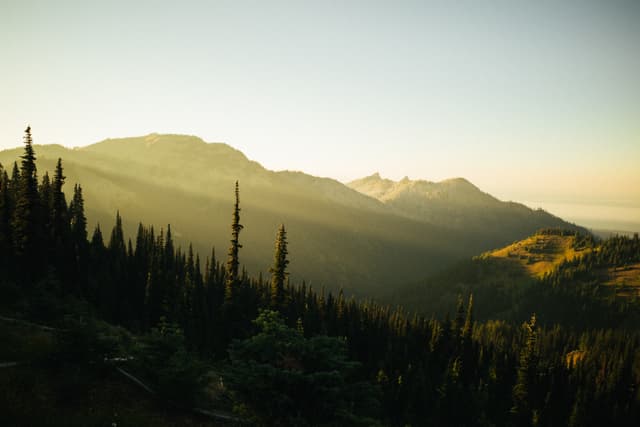 A serene mountain landscape bathed in the warm glow of sunrise or sunset, with evergreen trees in the foreground and layered mountain silhouettes in the distance