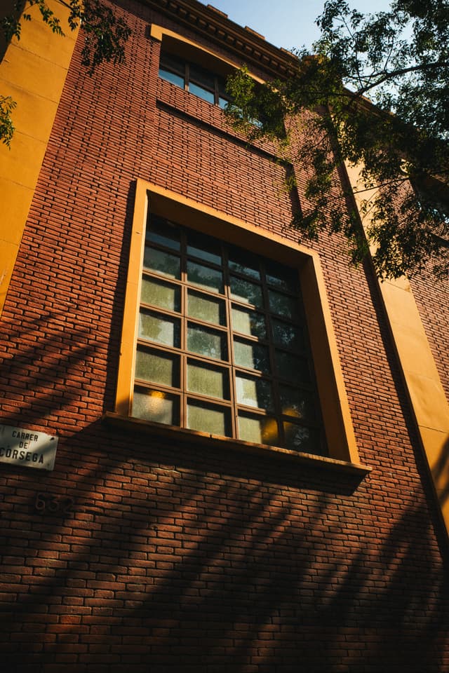 A large window set in a brick building facade, bathed in warm sunlight with shadows from nearby foliage