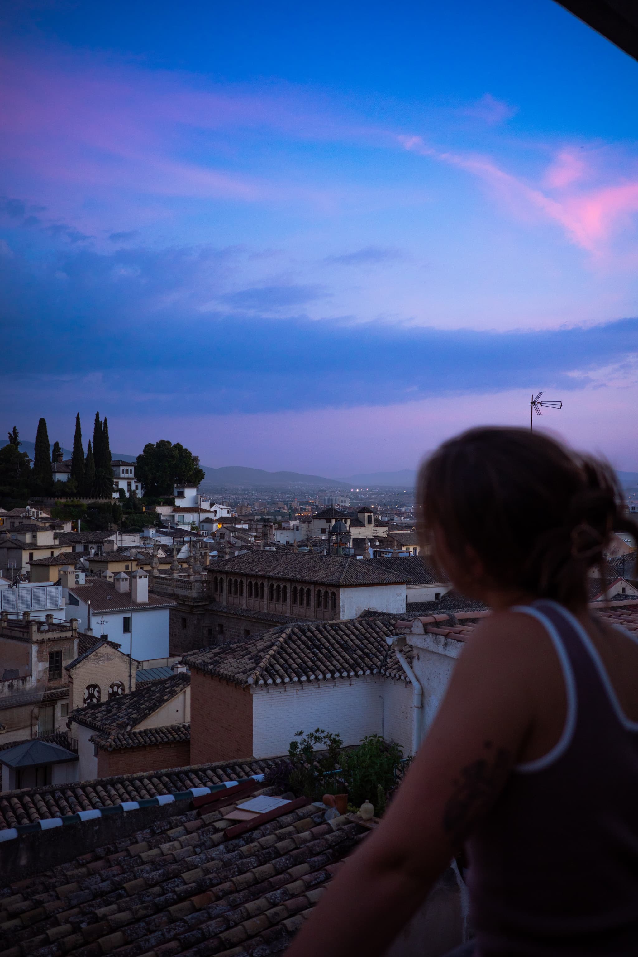 A person gazes out over a cityscape under a twilight sky with hues of pink and blue