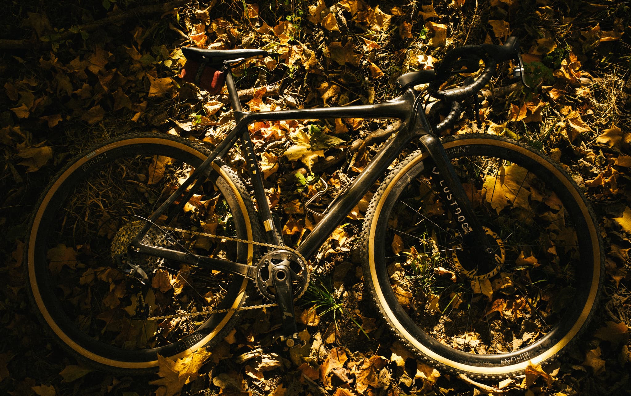 A bicycle lies on a bed of autumn leaves, partially illuminated by a beam of sunlight