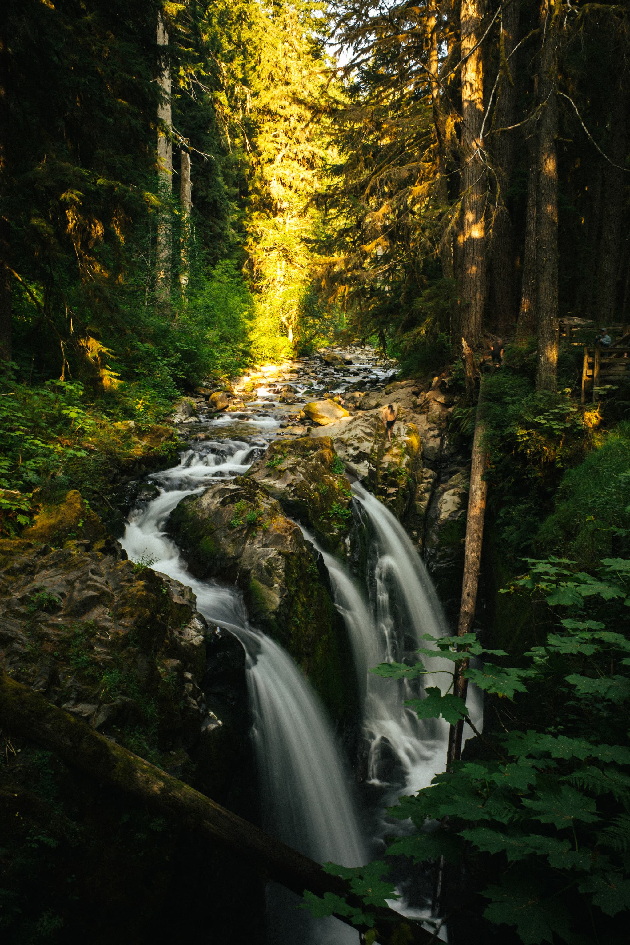 A serene waterfall cascades through a lush, forested landscape, bathed in dappled sunlight