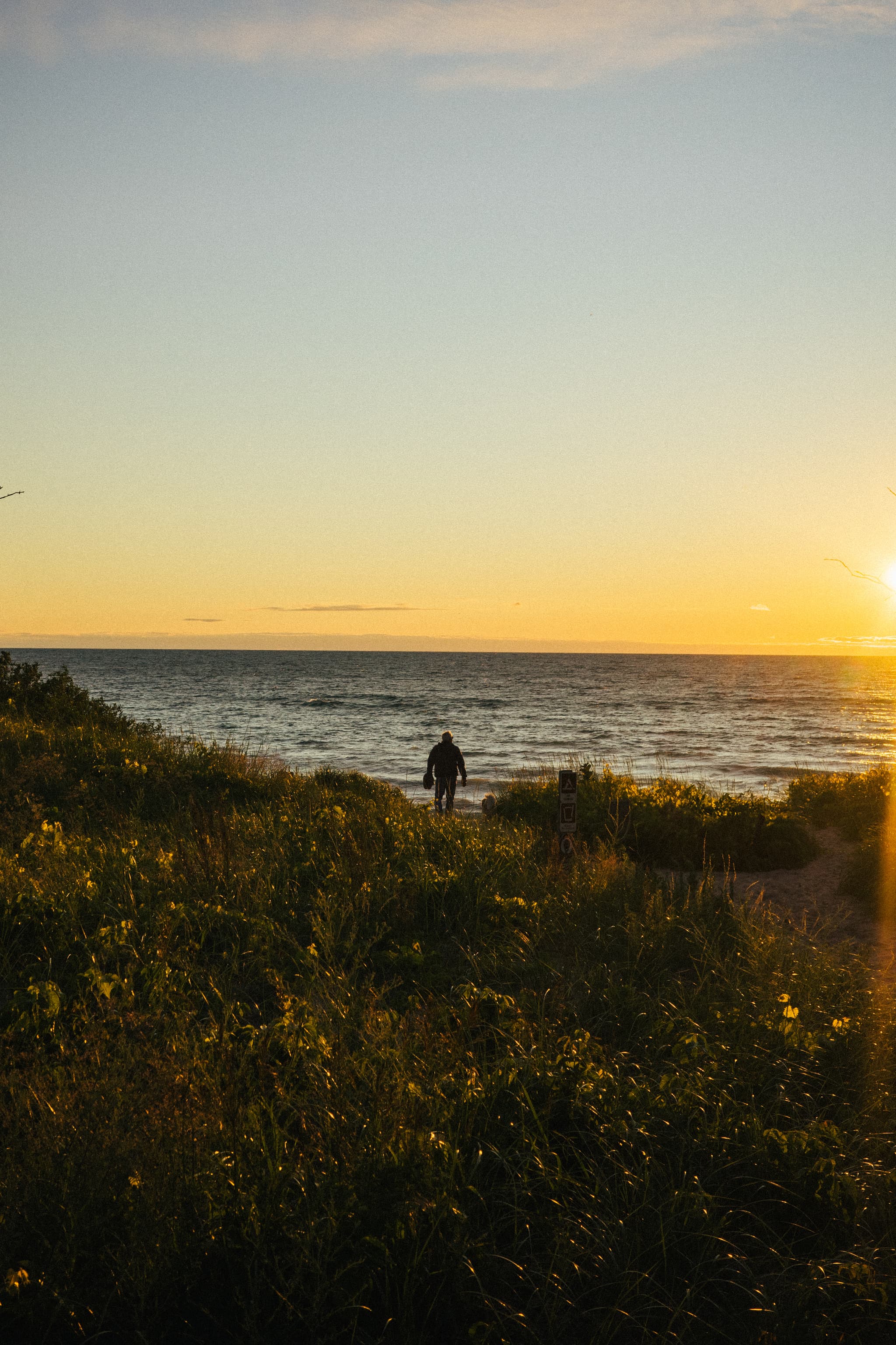 A person stands near the shore facing the sea at sunset, with the sun low on the horizon casting a warm glow over the scene, and vegetation in the foreground