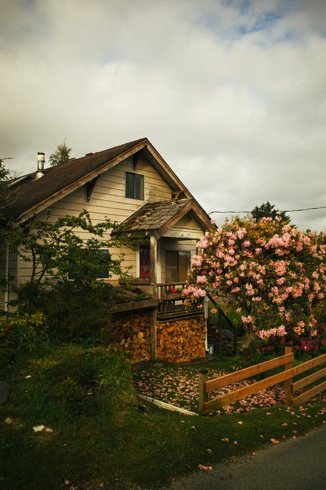 A quaint, weathered house with a front porch, surrounded by lush greenery and a large blooming bush, under a cloudy sky