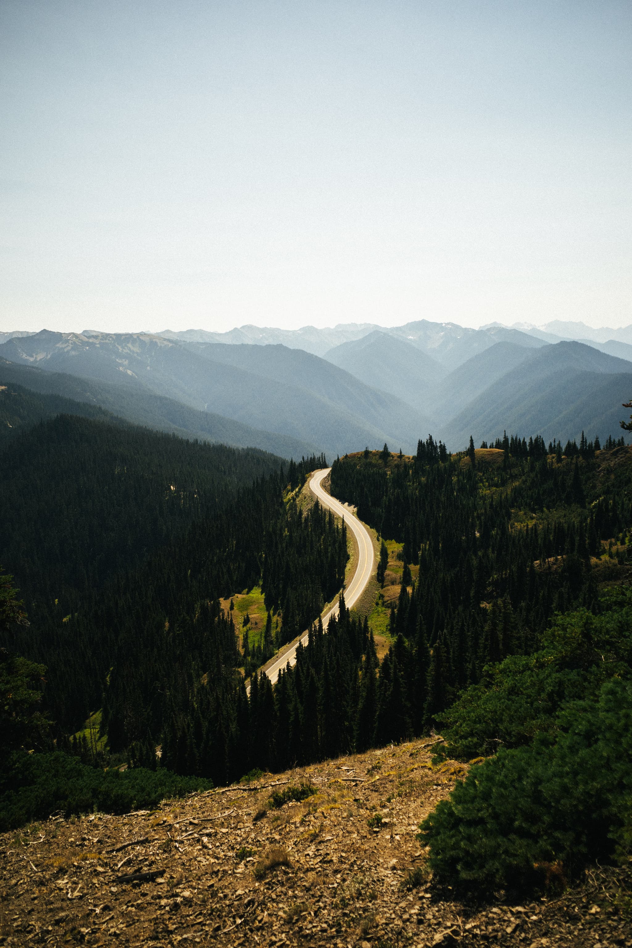 A winding road cuts through a dense forest with a backdrop of mountain ranges under a hazy sky