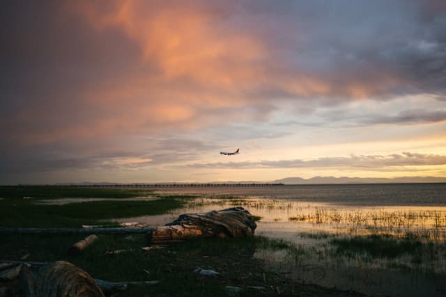 A serene landscape at dusk with a colorful sky, featuring an airplane in the distance over a wetland