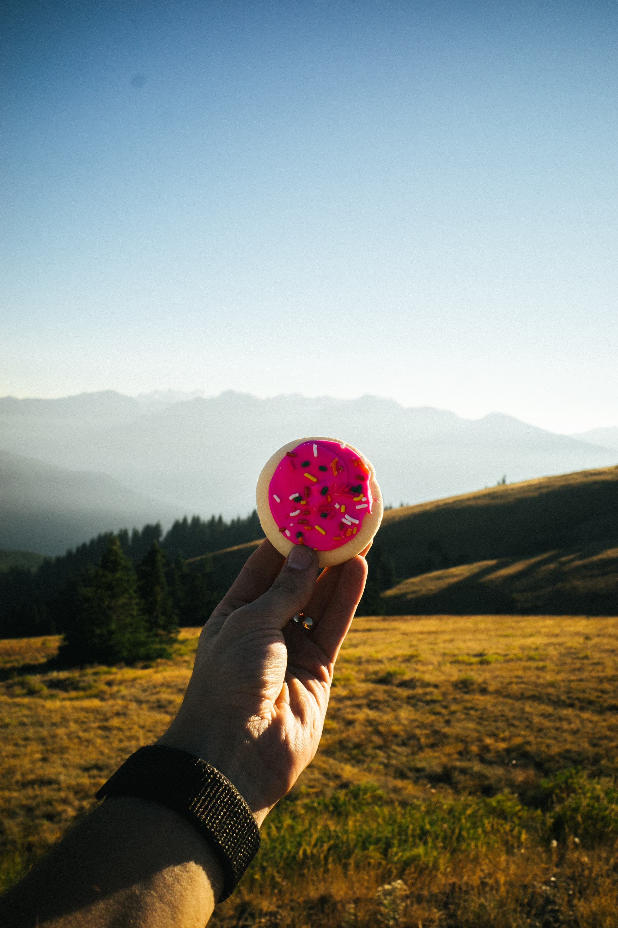 A hand holds up a pink donut against a scenic backdrop of rolling hills and mountains under a clear blue sky