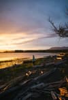 A person stands by a lakeside at sunset, surrounded by driftwood, with clouds streaked across the sky