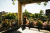 A person stands on a sunlit balcony surrounded by lush greenery and flowers, leaning on the railing and looking out into the distance