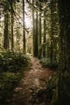 Salmon River Walk