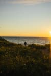 A person stands near the shore facing the sea at sunset, with the sun low on the horizon casting a warm glow over the scene, and vegetation in the foreground